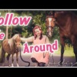 Follow me around – Pferde Shooting – Hinter die Kulissen