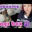 unboxing Dogz Box April